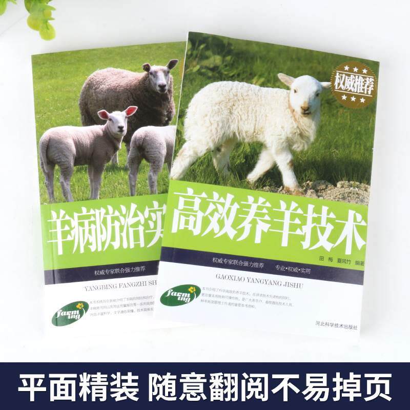 羊病防治实用手册高效养羊技术书籍 养羊常见病技术大全书籍 羊病预防检查与治疗等高效健康养 养羊书籍大全