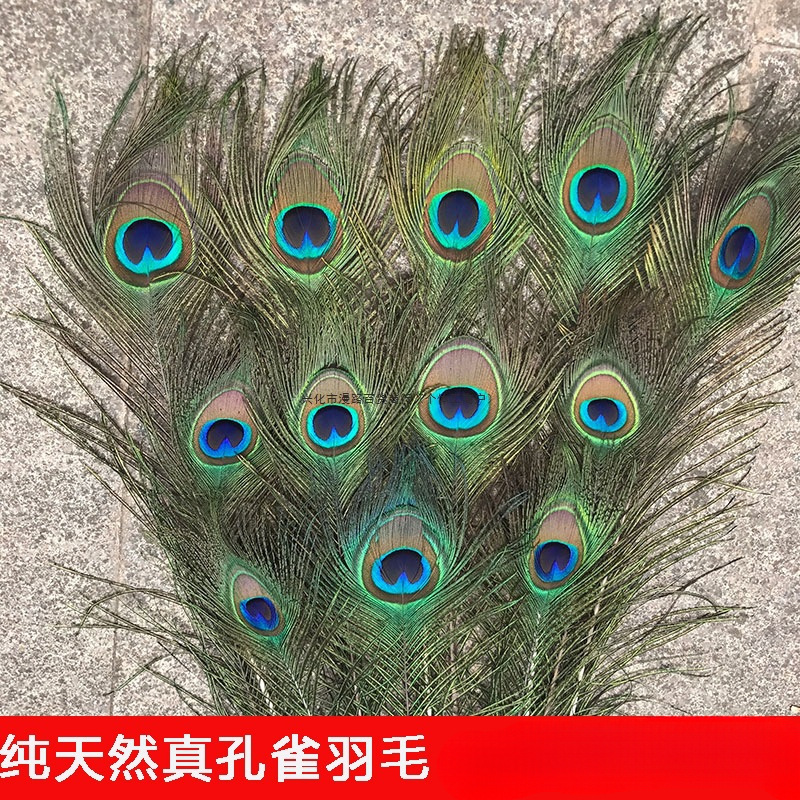 天然真孔雀羽毛翎尾大眼睛 客厅摆件花瓶插花装饰品diy配件孔雀毛