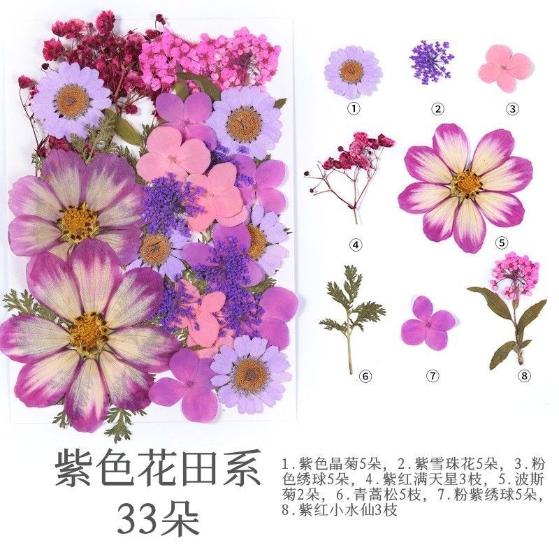 干花压花厂家直销滴胶香薰手工手账贴花diy天然植物标本花瓣妆