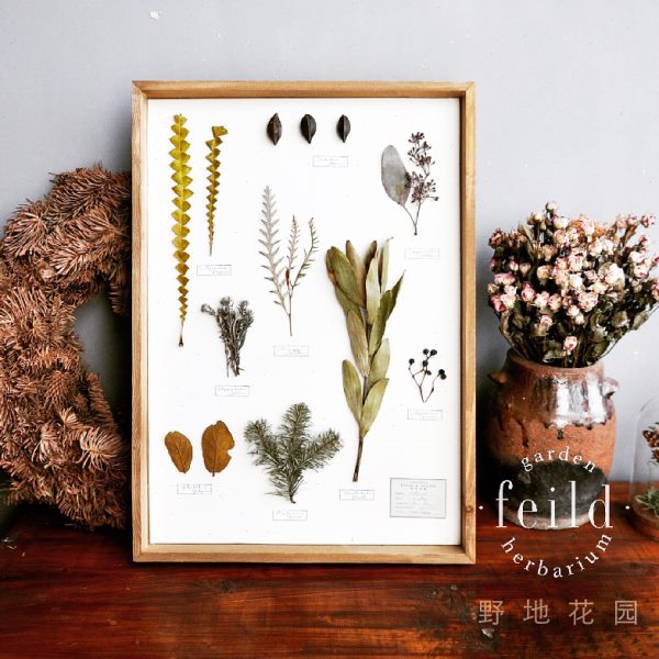 手作植物标本装饰画照片墙沙发背景墙样板间田园民宿立体干花相框图片