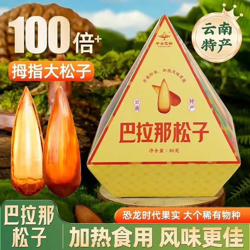 巴拉那松子盒装正宗中云巴松原味熟食拇指大松子开口手剥年货送礼
