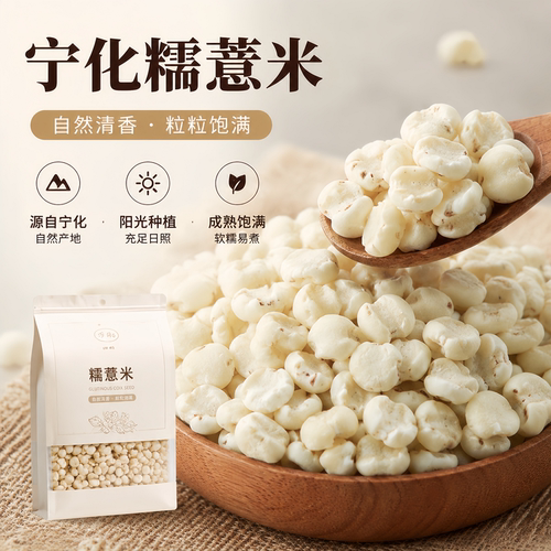 易煮高吸收 祛湿好选择 2026新米 科学食养