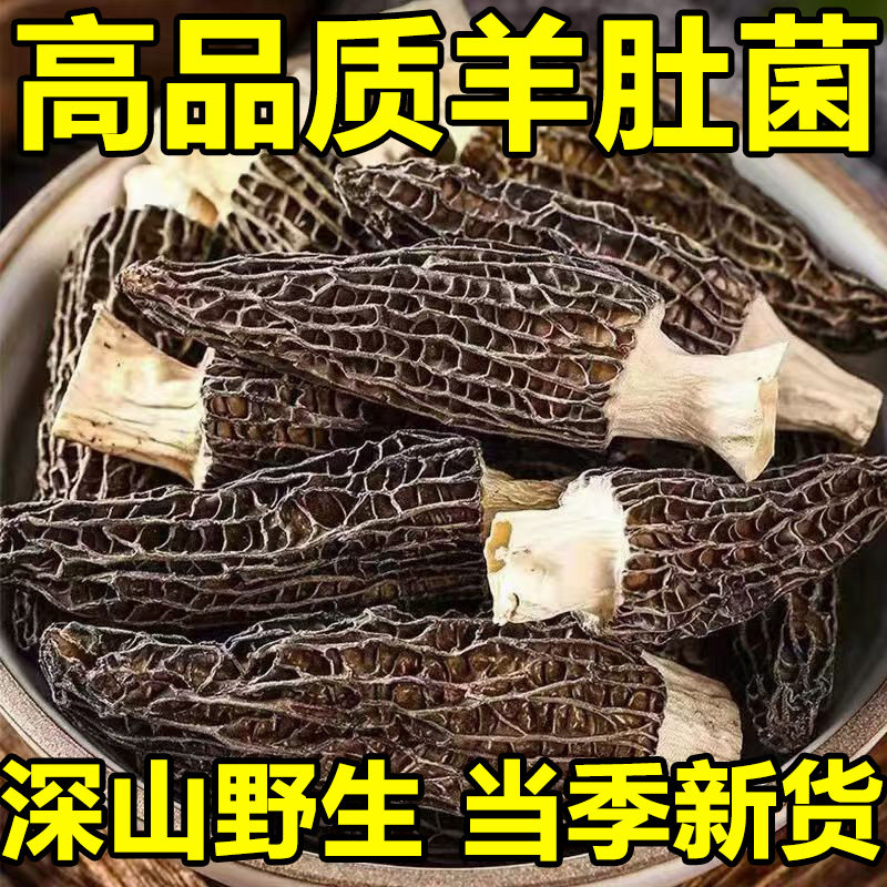 一级云南野生羊肚菌官方旗舰店正品野生头茬干货500g新鲜菌菇煲汤,粮油调味/速食/干货/烘焙,羊肚菌,淘宝优惠券,粉丝福利购,淘宝优惠卷