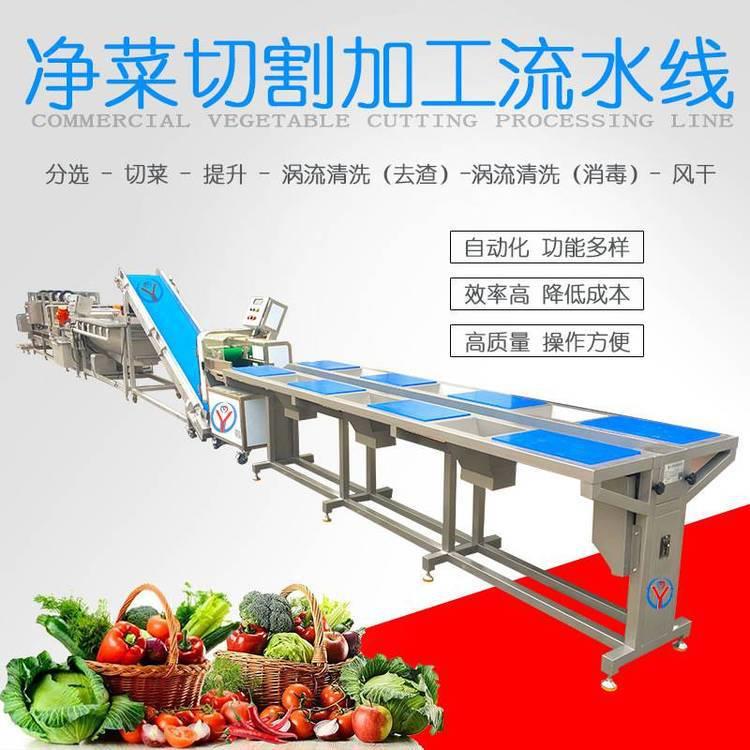 净菜配送流水线水果清洗设备预制菜生产线蔬菜清洗生产线