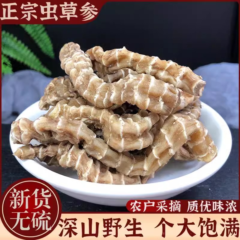 虫草参地参干中药材新鲜滋补干货精选大条新货泡酒地蚕草石蚕地笋