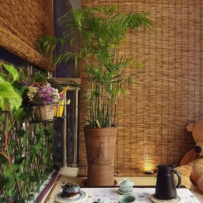 芦苇帘子装饰阳台草帘卷拉式遮光卷帘竹帘遮阳帘窗帘户外轻奢定