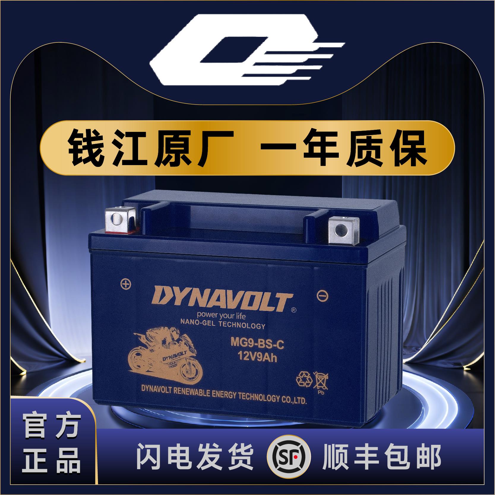 钱江QJ鸿125 鸿150ADV 鸿250 鸿350 踏板 猛狮12V通用摩托车电池