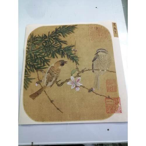 宋徽宗赵佶工笔花鸟斗方画书画作