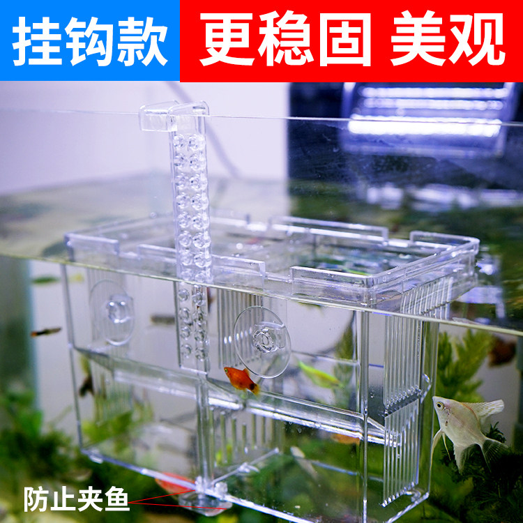 鱼缸孵化器隔离繁殖箱防夹鱼图片