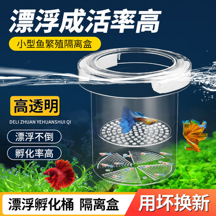鱼缸孵化盒孔雀鱼繁殖隔离盒小型鱼卵鱼苗斑马鱼斗鱼缸内鱼缸用品