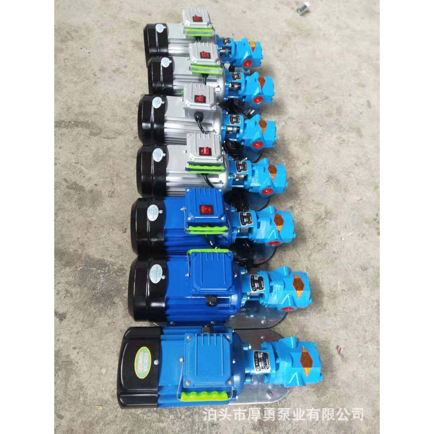 手提泵抽油泵WCB50220V单项电动齿轮泵便携式齿轮泵