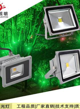 LED投光灯大功率户外泛光灯RGB防水广告牌灯园林装饰灯30W50W