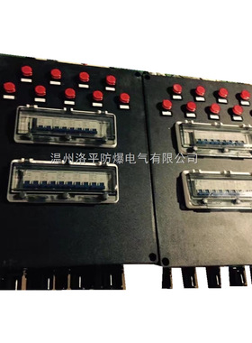 防爆防腐接线箱BJX8030系列 防爆防腐接线箱210*8R5*75XMM 防腐箱