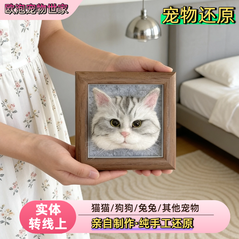 欧泡羊毛毡宠物定制玩偶戳戳乐diy成品相框礼物猫咪狗狗离世纪念