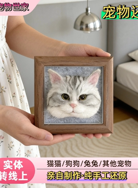 欧泡羊毛毡宠物定制玩偶戳戳乐diy成品相框礼物猫咪狗狗离世纪念