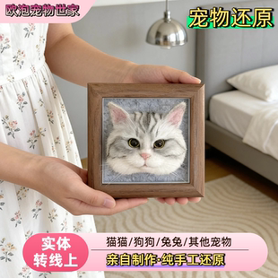 欧泡羊毛毡宠物定制玩偶戳戳乐diy成品相框礼物猫咪狗狗离世纪念