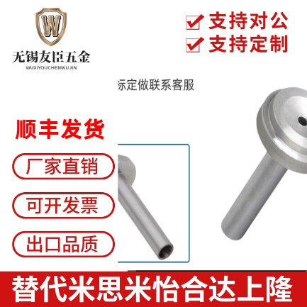 浙标B型双托浇口套塑胶模具用