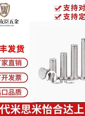 替代米SI米SHCCG8/10/6/5/4/12-10/15/20/25铰链销带肩扣环型