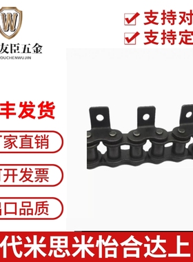 CHEL/CHET40A/40B/40C-50A/50B/50C-60A/60B/60C-80A/80B/80C链条