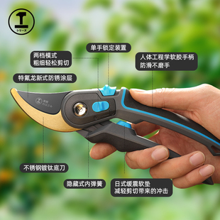 剪枝剪刀果树园艺剪刀修枝剪树枝花剪园林专用花卉修剪枝条果枝剪