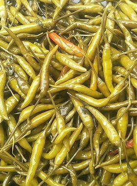 腌制小米椒咸菜下饭菜青小米椒尖椒朝天椒泡椒青辣椒商用酸辣椒