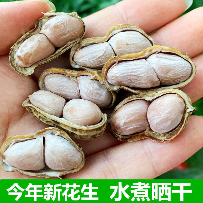 客家梅州平远东石水煮花生日晒干原味咸味农家特产秋天然