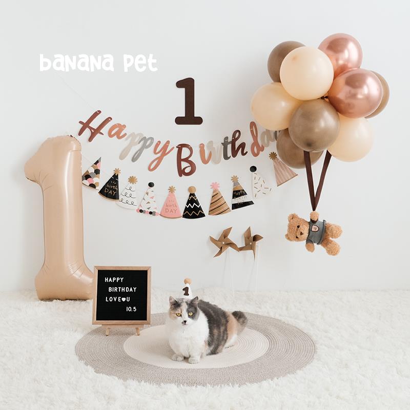 ins韩风宠物生日派对奶油森系猫咪狗狗热气球小熊拉旗背景装饰