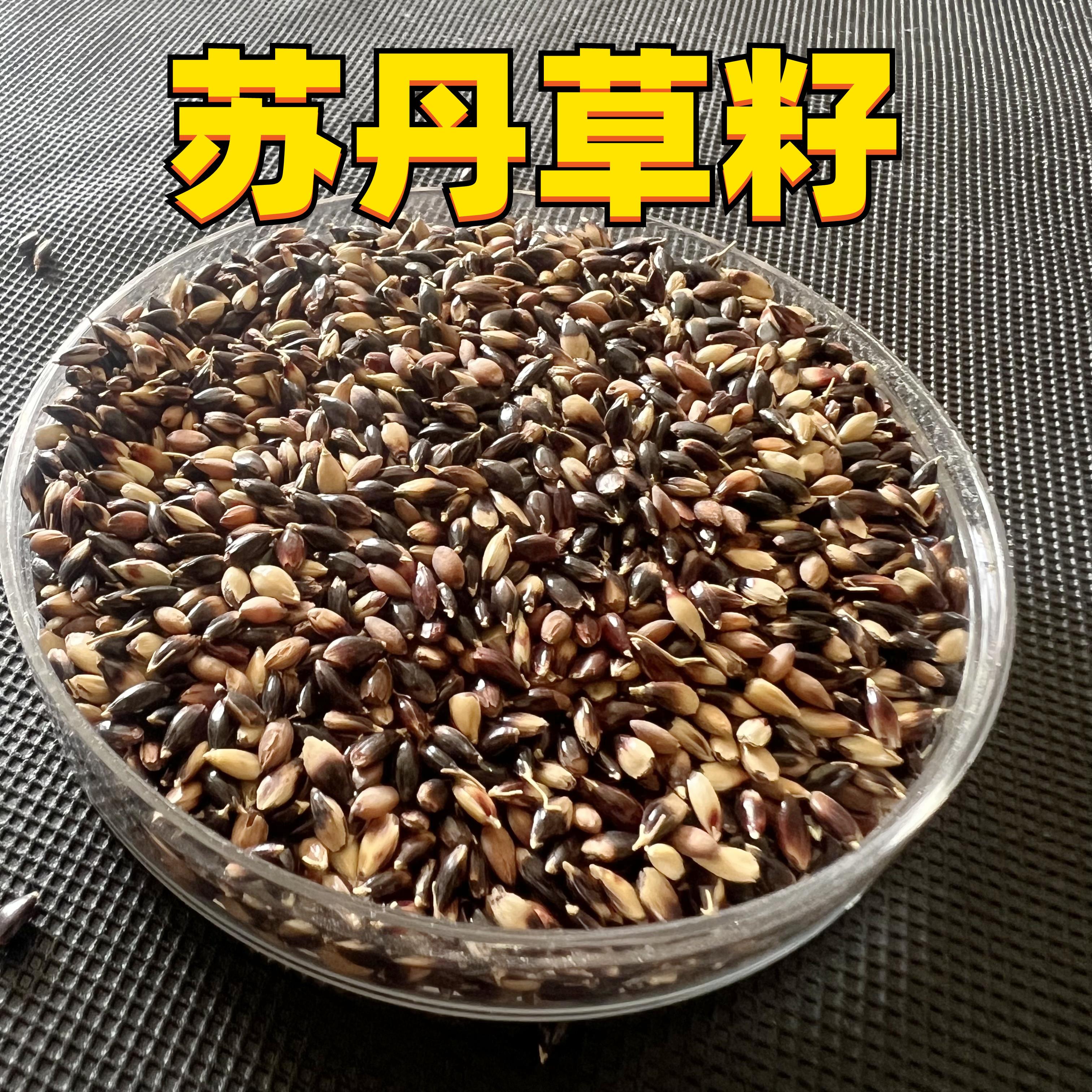 鸟食草子苏丹草籽芙蓉虎皮牡丹粮食鹦鹉粮珍珠鸟文鸟泽增肥零食