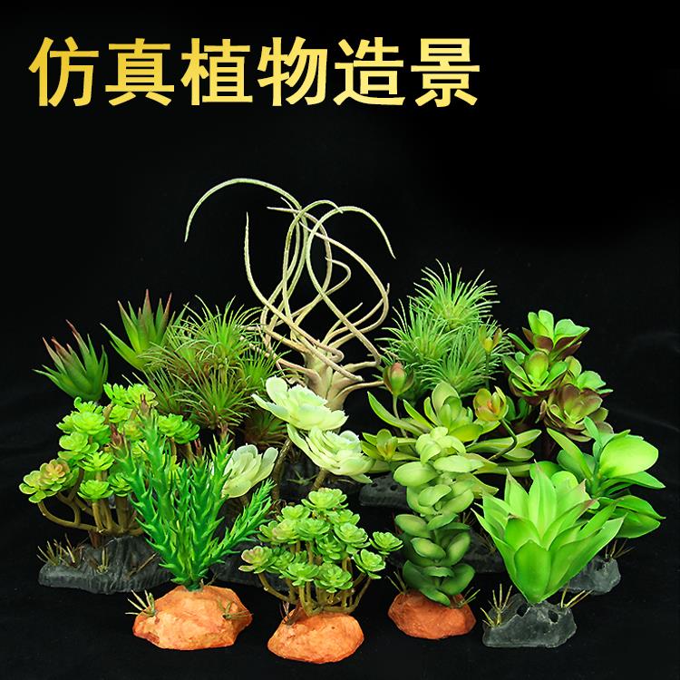 仿真爬宠箱造景植物 沙漠雨林植物假植物绿植 透明亚克力蜘蛛盒子