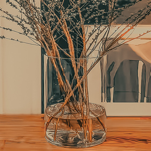 大口径玻璃花瓶透明宽口广口敞口阔口超大特大号雪柳鲜枝干枝花器