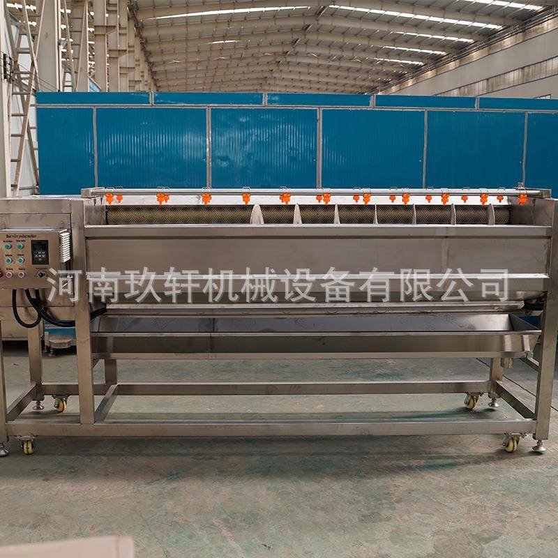 人参中草药清洗设备手剥笋竹笋毛辊清洗机