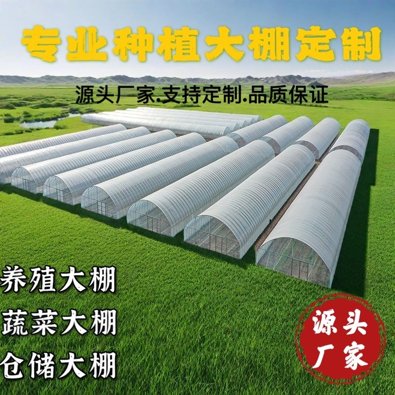 热销养殖大棚全套大棚骨架家用温室种植棚专业养鸡棚羊棚牛棚养猪