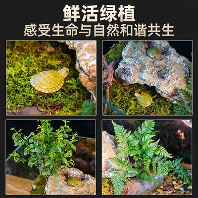 热销乌龟缸超白玻璃造景家用小别墅饲养箱带晒台养乌龟缸生态鱼缸