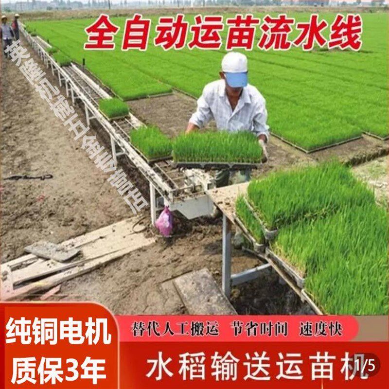 热销全自动秧盘输送带水稻秧苗运苗机秧苗输送机育苗盘运输运苗流