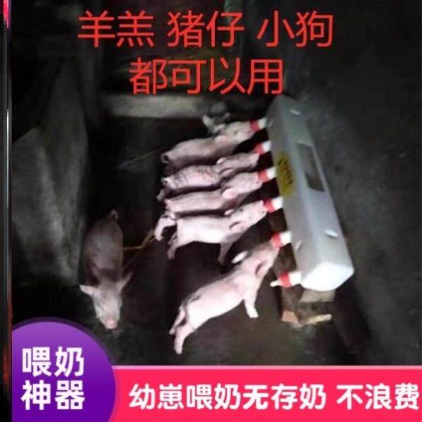 仔猪用吃奶器小猪奶瓶喂羊奶嘴神器哺乳兽用自动养殖喝吸奶妈机喂