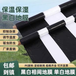 农用单白双白黑白相间地膜薄膜种植育苗除草防虫保温保湿加厚农膜