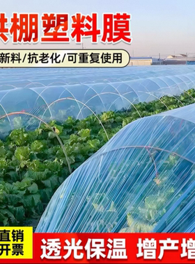 加厚小拱棚膜内膜无滴膜透明种植薄膜防冻蓝色薄膜保温拱棚专用膜