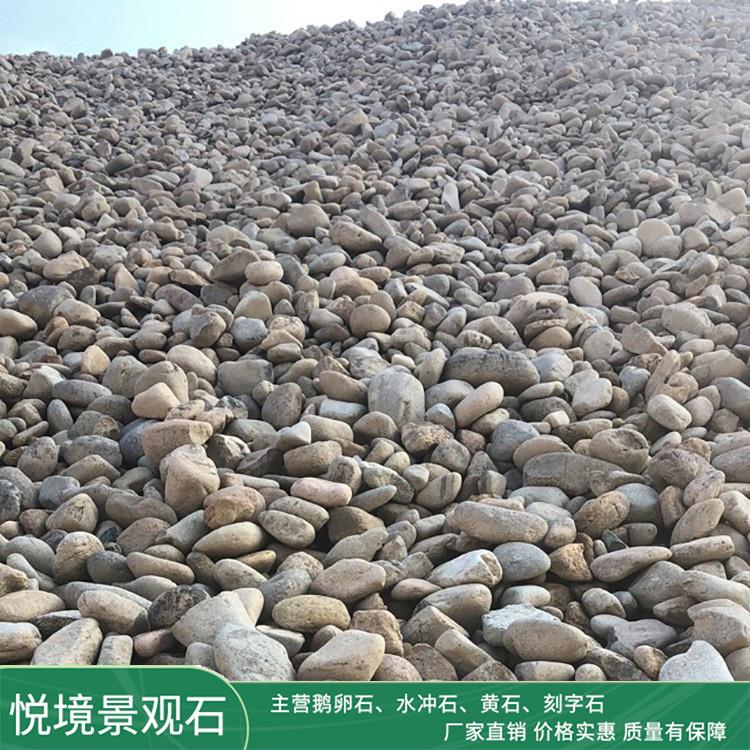 天然鹅卵石 1-3-5-8-10cm景观铺路石 水质净化滤水精品鹅暖石砾石