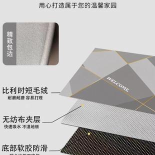 入户门垫进门地垫轻奢高端免打理地毯防滑家用可裁剪定制耐脏厚