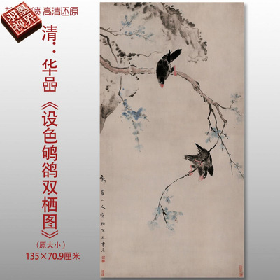 清代华喦设色鸲鹆双栖图花鸟写意