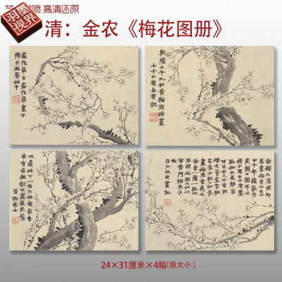清金农梅花图册水墨写意国画复制