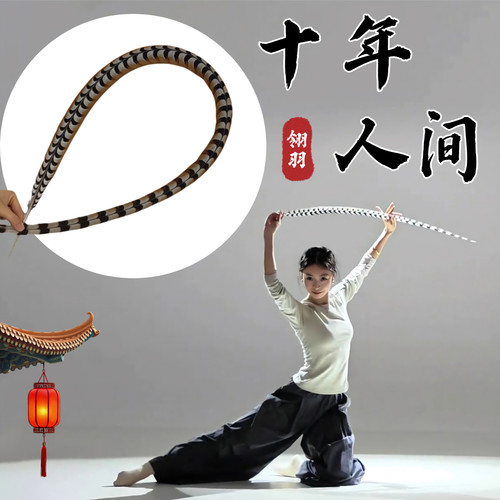 十年人间同款跳舞专用翎子羽毛