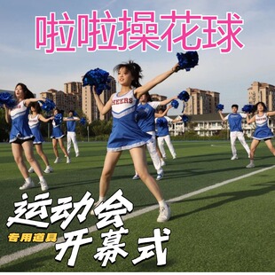 运动会入场创意道具比赛啦啦队专用花球啦啦队手花团体操道具花球