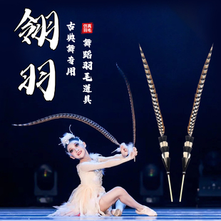 翎羽翎子舞蹈道具仿真羽毛翎毛舞蹈道具古典舞蹈戏曲演出专用头饰