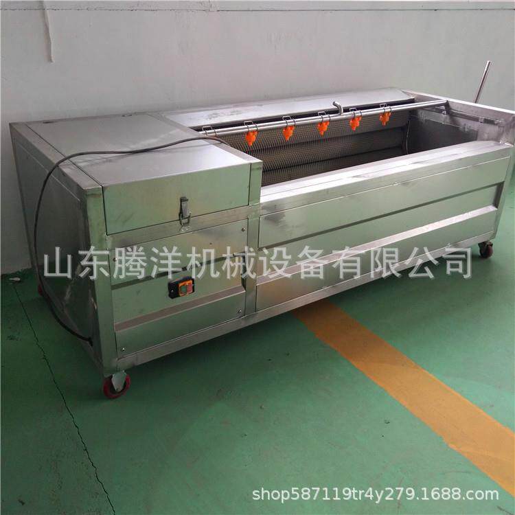 芥梗清洗机根茎清洗去泥机不锈钢红薯毛辊清洗去皮机