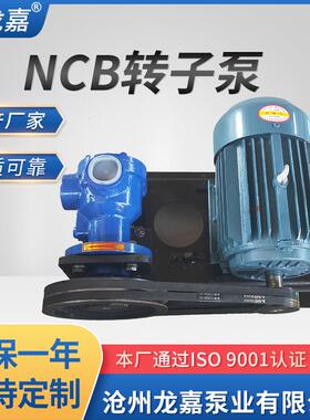 NCB高粘度转子泵凸轮转子泵泵头正反转高粘度转子泵厂家供应