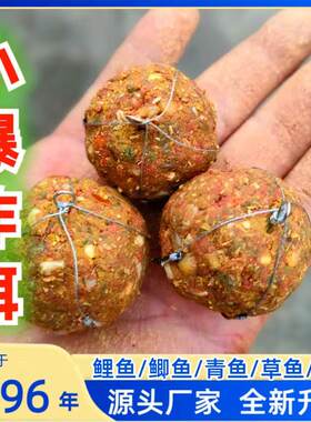 套装小暴炸钩新款海竿秋冬季野钓草鲤鱼青鱼鲫鱼远投钓鱼饵料重庆