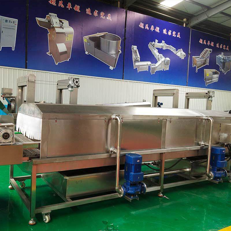 大姜果蔬清洗机不伤表皮中药材高压喷淋清洗机