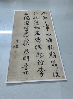 钱沣南园临蔡明远帖复古书法字画