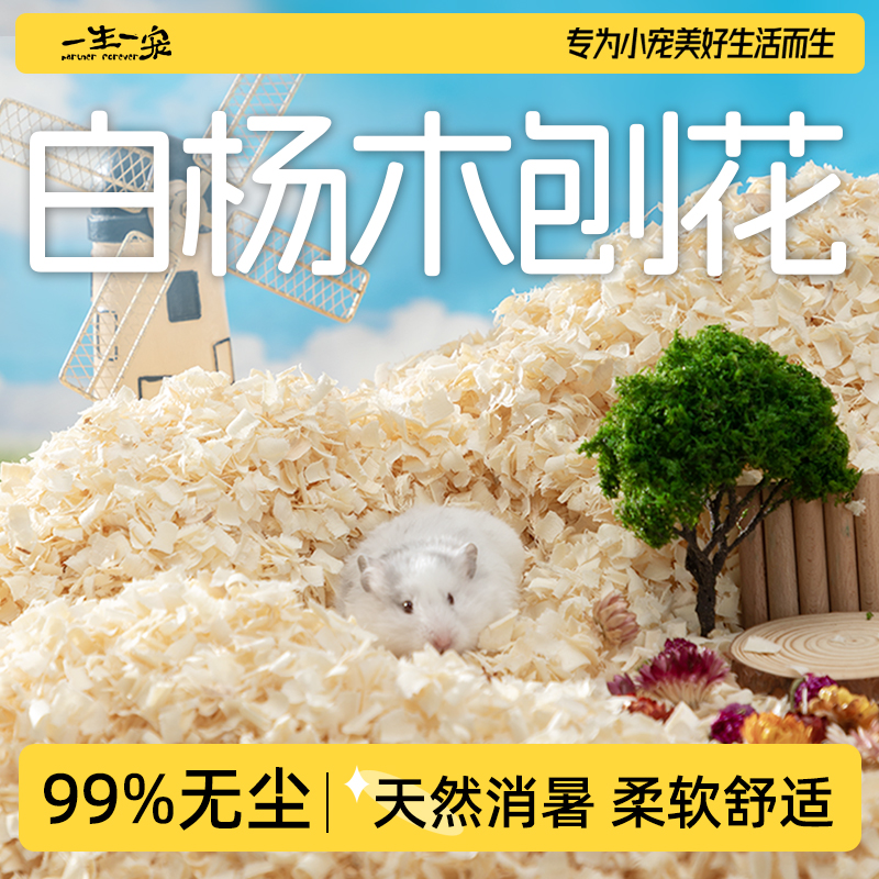 白杨木刨花无尘白杨木无甲醛吸水